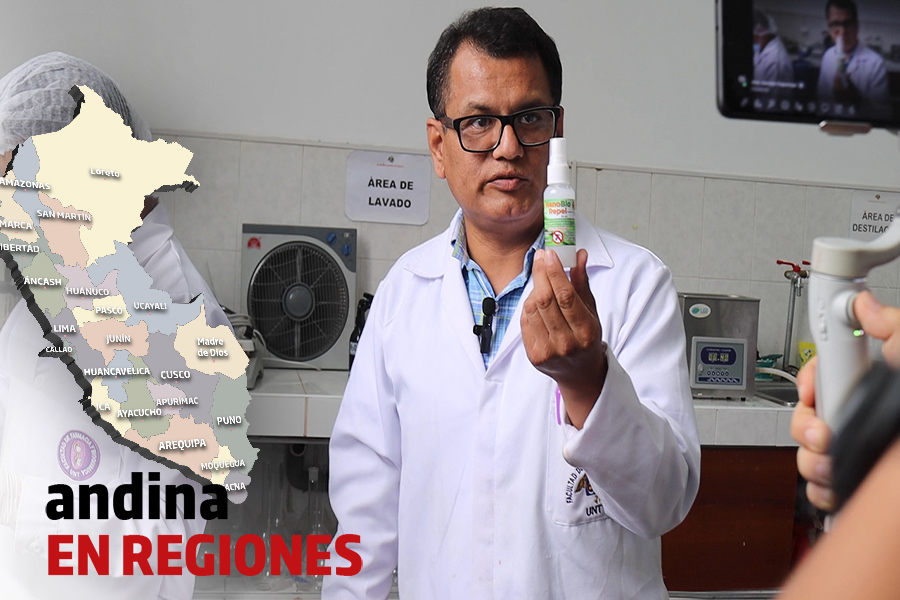 Andina en Regiones: crean repelente ecológico contra la picadura del Aedes Aegypti en Trujillo
